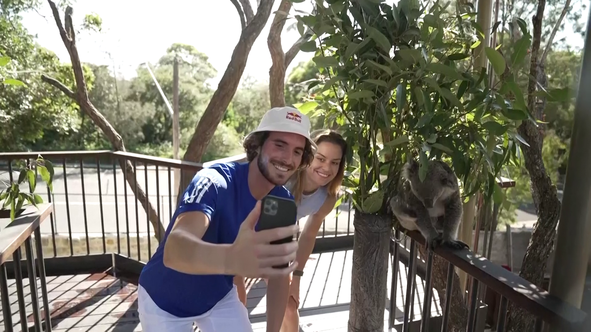 Maria Sakkari și Stefanos Tsitsipas au hrănit girafe la Grădina Zoologică Taronga din Sydney