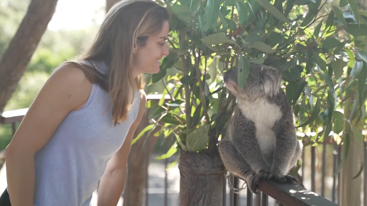 Maria Sakkari și Stefanos Tsitsipas au hrănit girafe la Grădina Zoologică Taronga din Australia