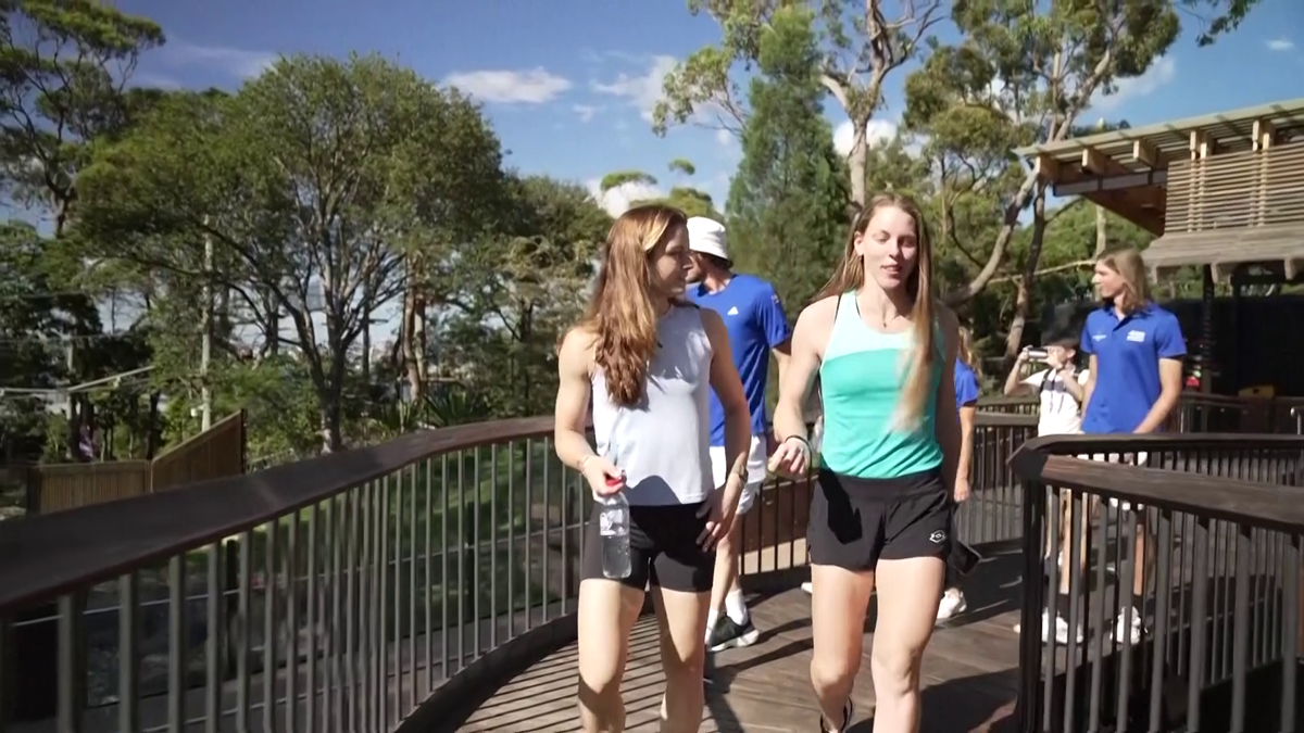 Maria Sakkari și Stefanos Tsitsipas au hrănit girafe la Grădina Zoologică Taronga din Sydney