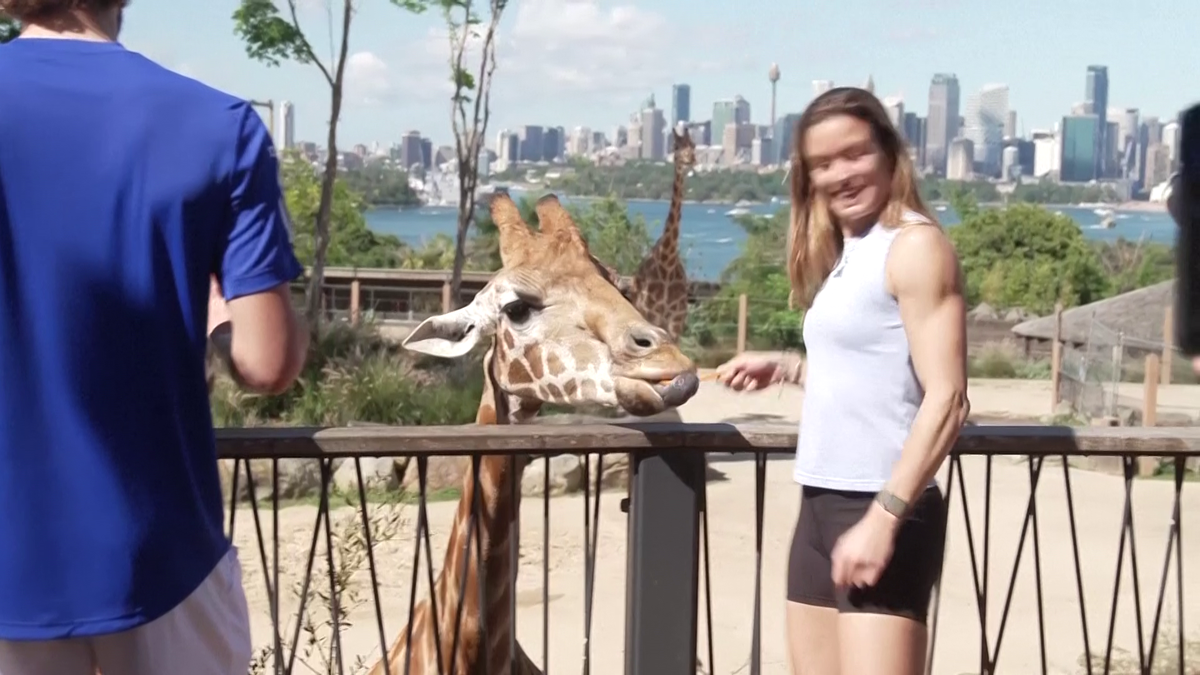 Maria Sakkari și Stefanos Tsitsipas au hrănit girafe la Grădina Zoologică Taronga din Sydney