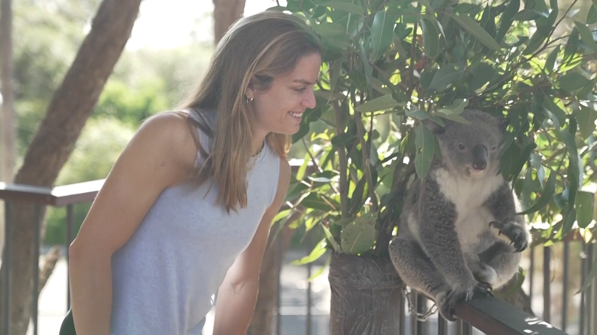 Maria Sakkari și Stefanos Tsitsipas au hrănit girafe la Grădina Zoologică Taronga din Sydney