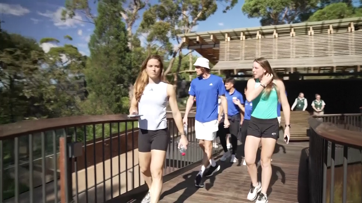 Maria Sakkari și Stefanos Tsitsipas au hrănit girafe la Grădina Zoologică Taronga din Sydney