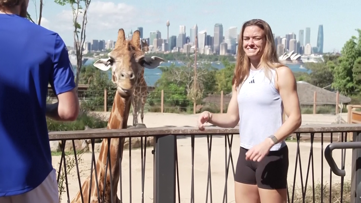Maria Sakkari și Stefanos Tsitsipas au hrănit girafe la Grădina Zoologică Taronga din Sydney