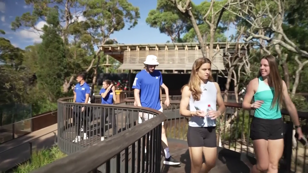 Maria Sakkari și Stefanos Tsitsipas au hrănit girafe la Grădina Zoologică Taronga din Sydney