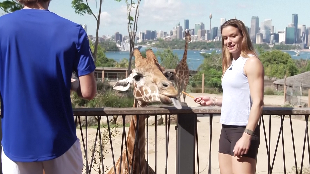 Maria Sakkari și Stefanos Tsitsipas au hrănit girafe la Grădina Zoologică Taronga din Sydney