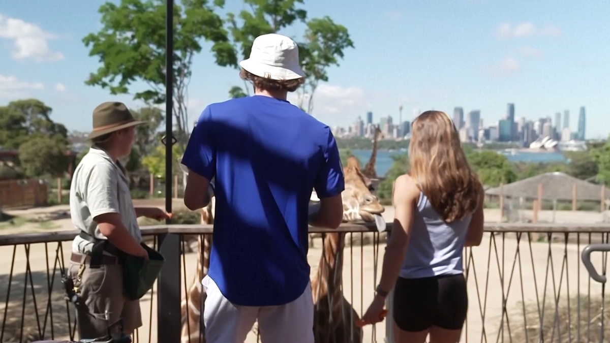 Maria Sakkari și Stefanos Tsitsipas au hrănit girafe la Grădina Zoologică Taronga din Sydney