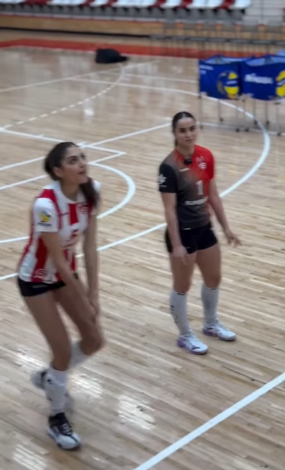 Voleibalistele de la Dinamo