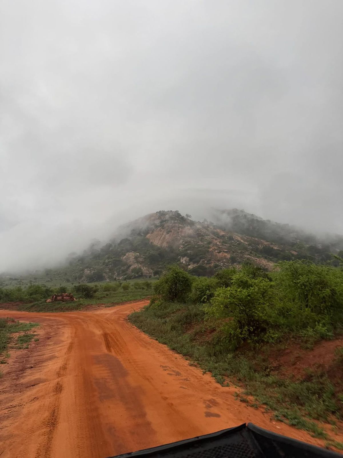 Distracție maximă cu iubitele înainte de cantonament! Bîrligea cucerește Kenya, Târnovanu face show în Tenerife