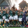 Palmeiras a cucerit Copa Libertadores // foto: Twitter @ SE Palmeiras