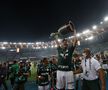Palmeiras - Santos 1-0 finala Copei Libertadores