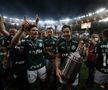 Palmeiras a câștigat Copa Libertadores după o finală cu 15 minute de prelungire și o bătaie generală!