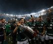 Palmeiras - Santos 1-0 finala Copei Libertadores