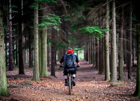 Aventuri pe două roți: ce trebuie să știi dacă mersul pe bicicletă este noul tău hobby