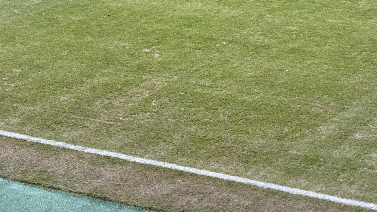 Imagini înainte de Rapid - U Cluj // 31.01.2026