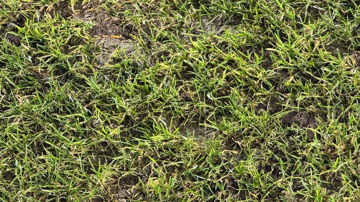 Imagini înainte de Rapid - U Cluj // 31.01.2026