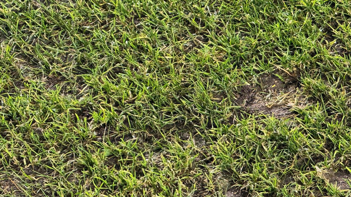 Imagini înainte de Rapid - U Cluj // 31.01.2026