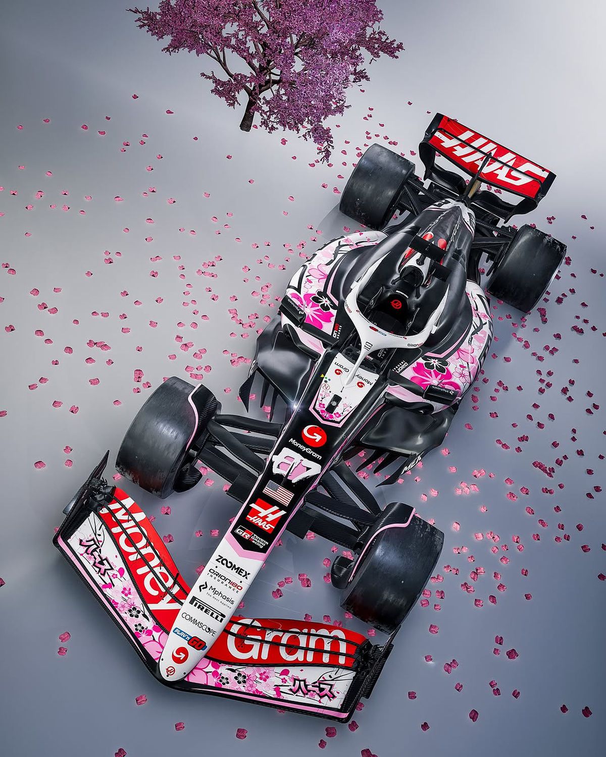 Monoposturile Hass, design neașteptat în MP al Japoniei » Vor celebra un eveniment special