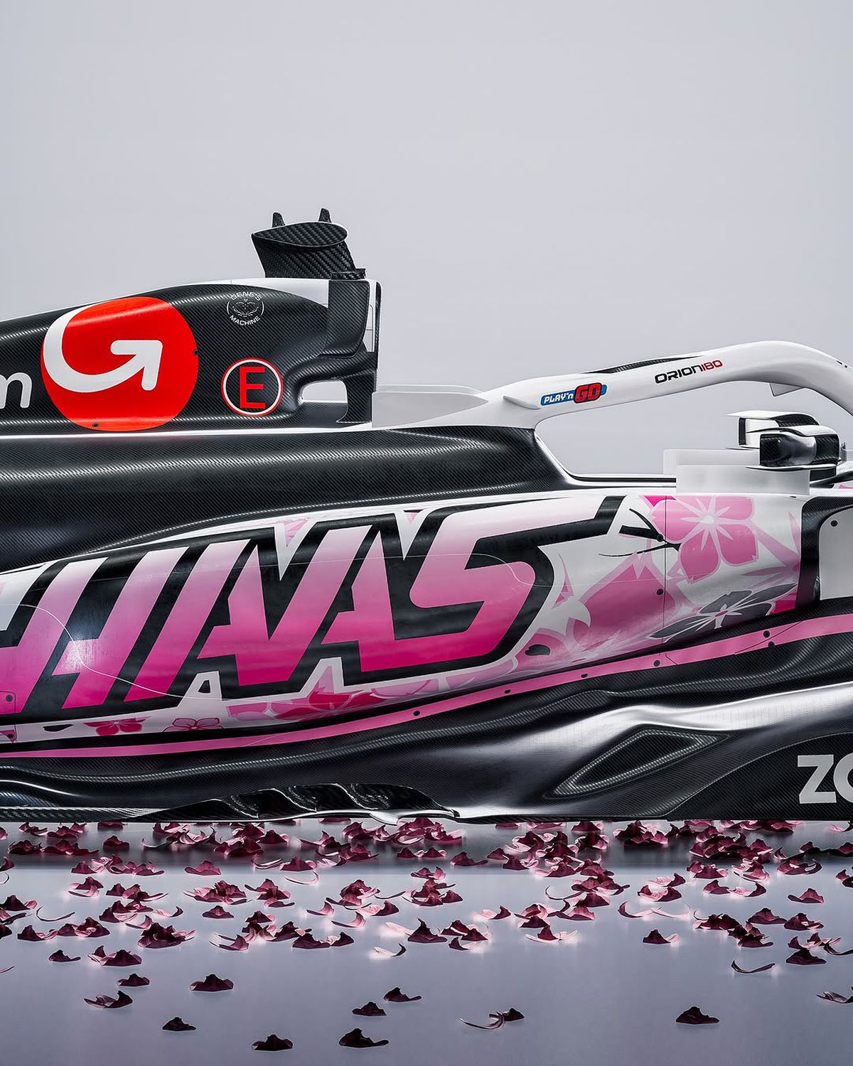 Monoposturile Hass, design neașteptat în MP al Japoniei » Vor celebra un eveniment special