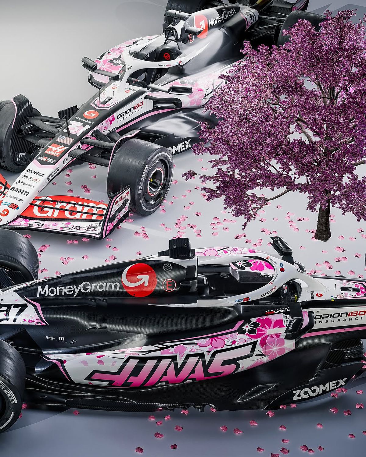 Monoposturile Hass, design neașteptat în MP al Japoniei » Vor celebra un eveniment special