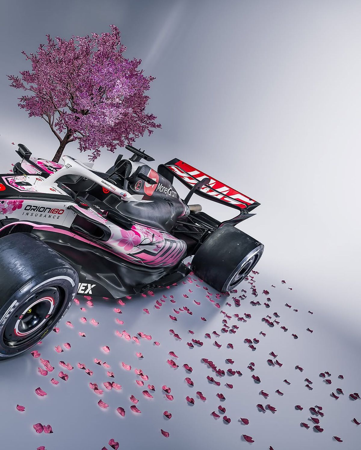 Monoposturile Hass, design neașteptat în MP al Japoniei » Vor celebra un eveniment special