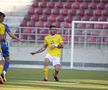 România a jucat un amical pe Giulești » Marcatorii, echipele folosite de Iordănescu + A venit cu tactica de la FCSB