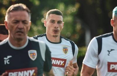 Apariție spectaculoasă în cantonamentul României » S-a vopsit albastru înainte de Euro 2024