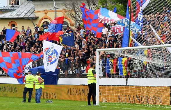 UPDATE Steaua are drept de promovare! Contestația Rapidului a fost respinsă