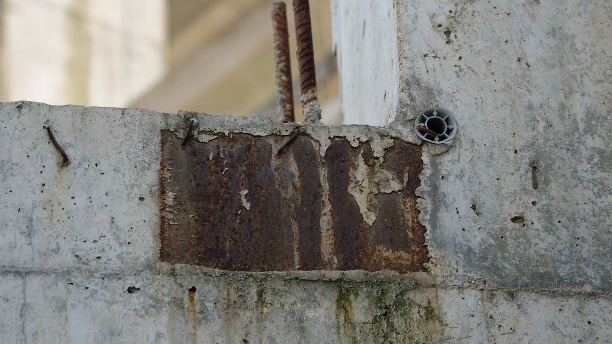 Natura a pus stăpânire pe „Flamaropol” » De 10 ani, patinoarul rămâne o enigmă pentru primarii din București