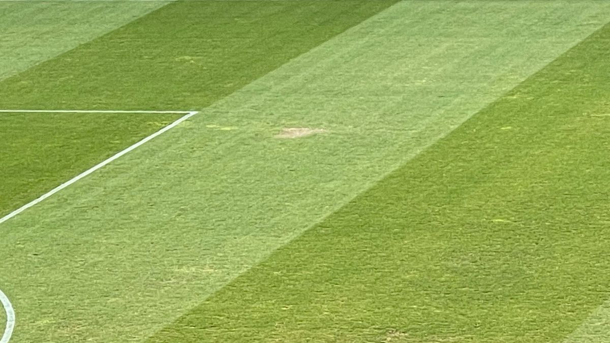 Cum arată gazonul de pe „Arcul de Triumf”