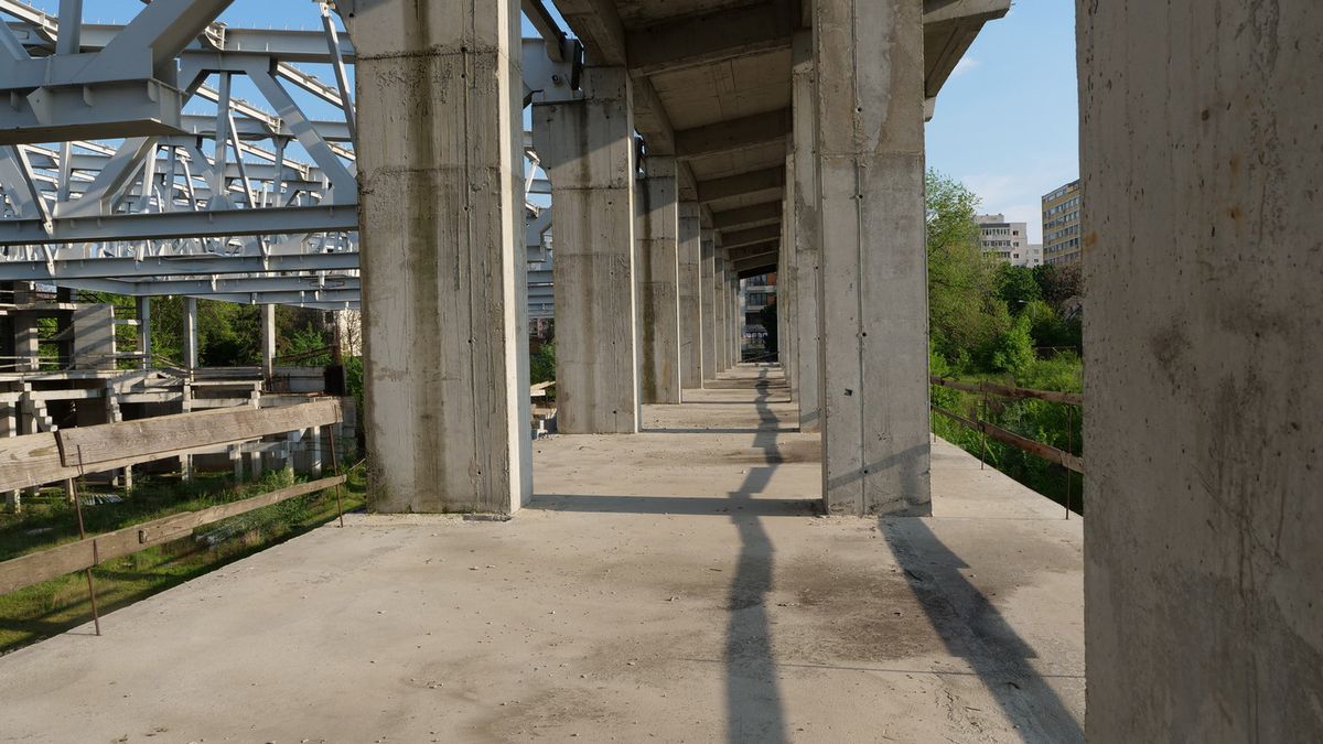 Natura a pus stăpânire pe „Flamaropol” » De 10 ani, patinoarul rămâne o enigmă pentru primarii din București