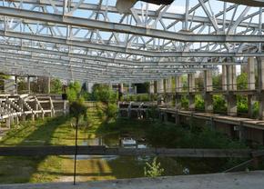 Natura a pus stăpânire pe „Flamaropol” » De 10 ani, patinoarul rămâne o enigmă pentru primarii din București