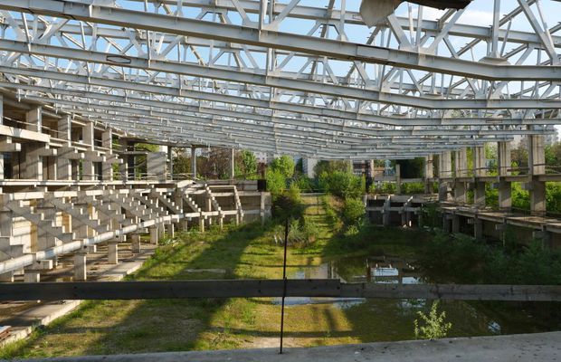 Natura a pus stăpânire pe „Flamaropol” » De 10 ani, patinoarul rămâne o enigmă pentru primarii din București