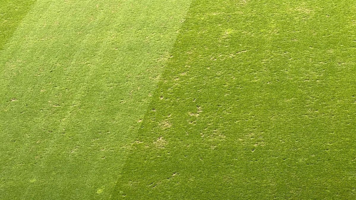 Cum arată gazonul de pe „Arcul de Triumf”