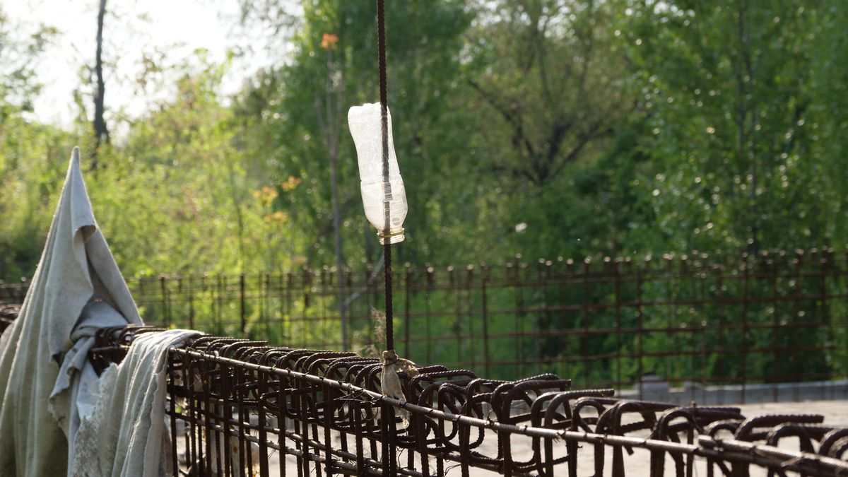 Natura a pus stăpânire pe „Flamaropol” » De 10 ani, patinoarul rămâne o enigmă pentru primarii din București