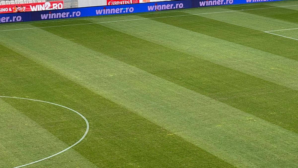 Se simt urmele folosirii » Cum arată gazonul pe „Arcul de Triumf”