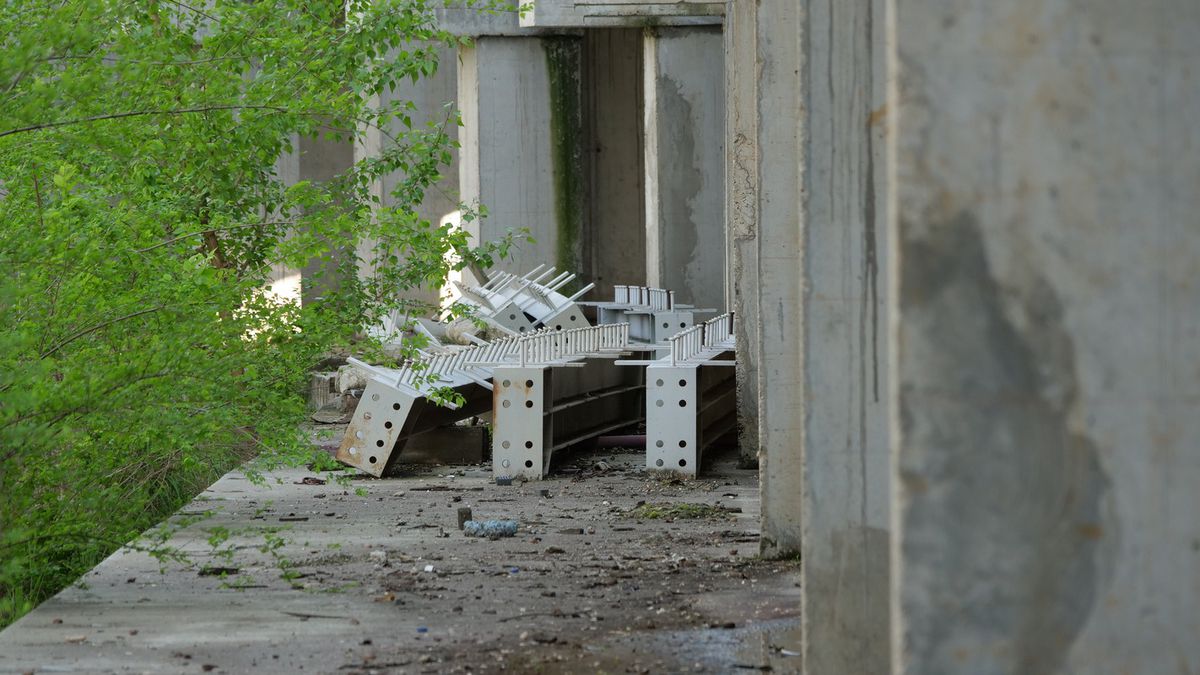 Natura a pus stăpânire pe „Flamaropol” » De 10 ani, patinoarul rămâne o enigmă pentru primarii din București