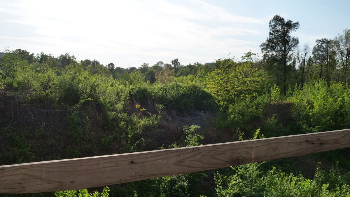 Nicușor Dan, vești despre noul patinoar „Mihai Flamaropol” din București: „În patru, cinci luni trebuie să înceapă lucrările!”