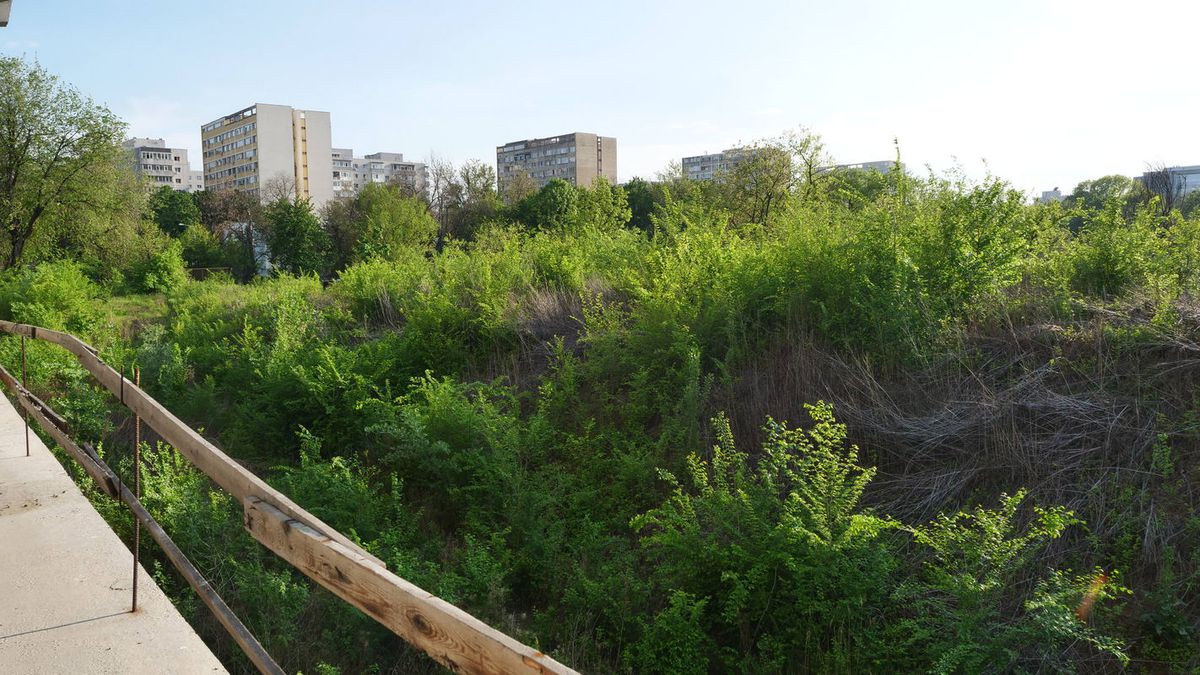 Natura a pus stăpânire pe „Flamaropol” » De 10 ani, patinoarul rămâne o enigmă pentru primarii din București