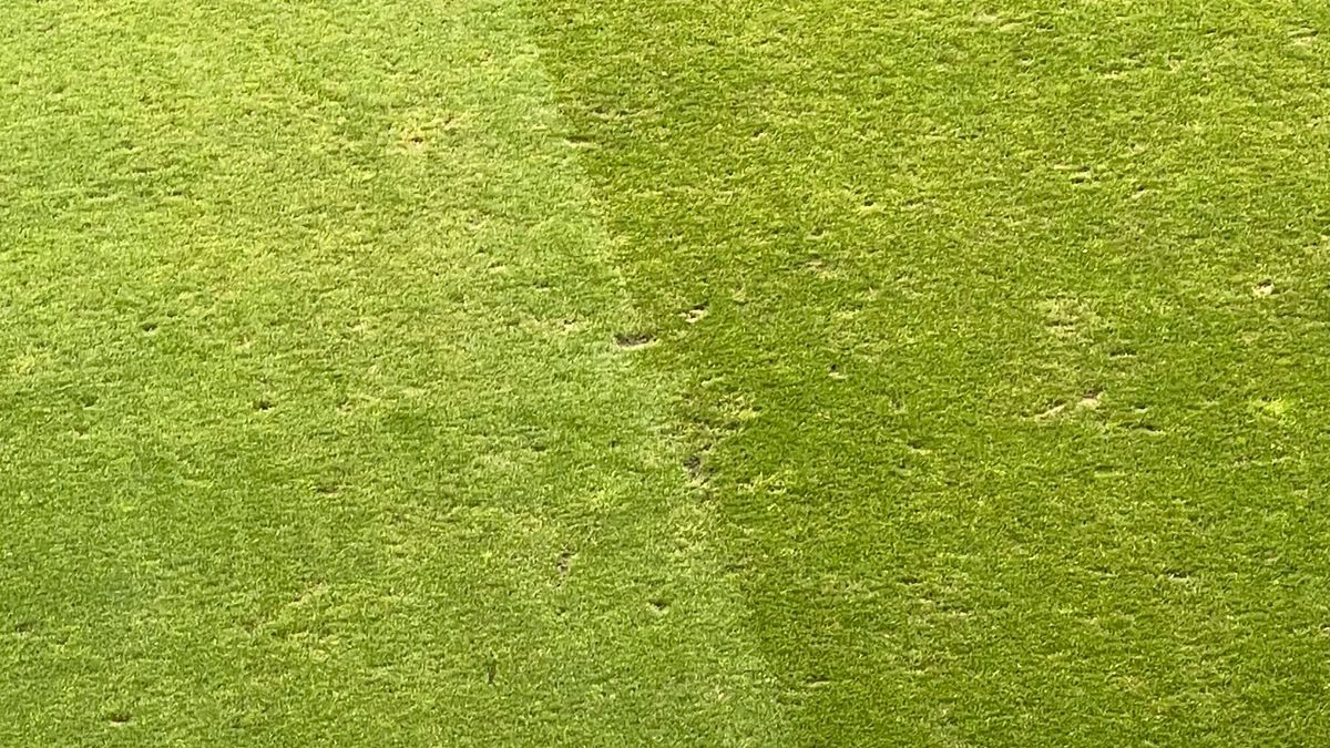 Se simt urmele folosirii » Cum arată gazonul pe „Arcul de Triumf”