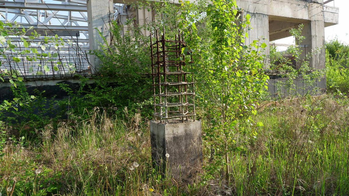 Natura a pus stăpânire pe „Flamaropol” » De 10 ani, patinoarul rămâne o enigmă pentru primarii din București