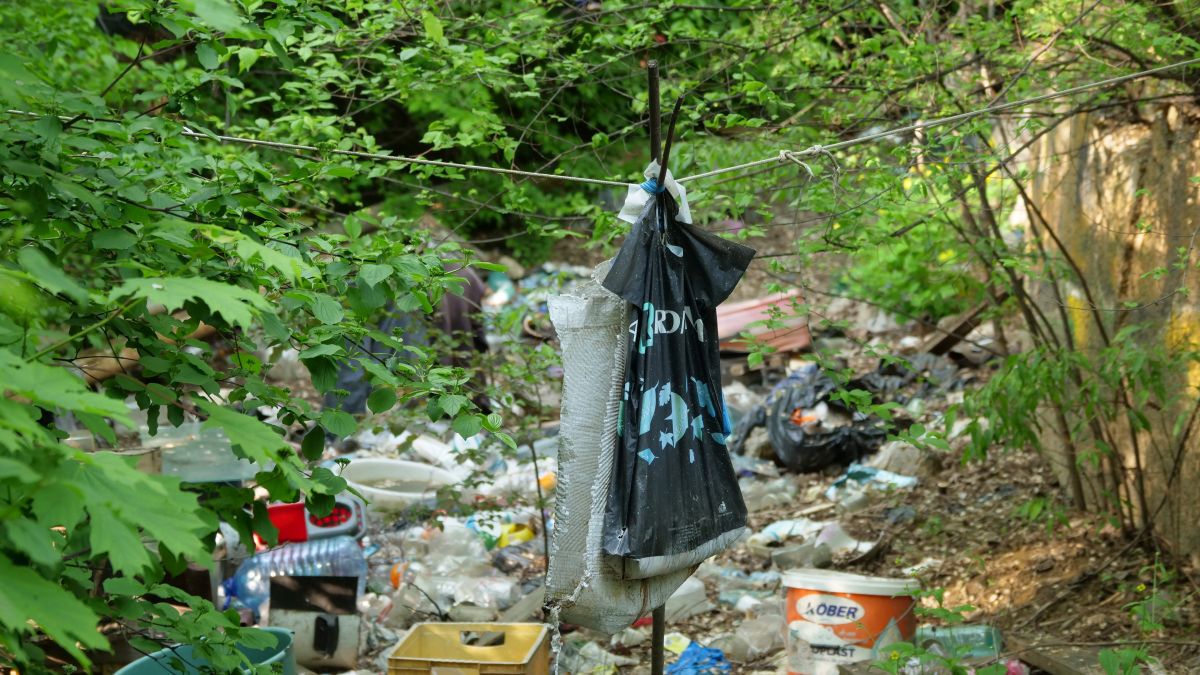 Natura a pus stăpânire pe „Flamaropol” » De 10 ani, patinoarul rămâne o enigmă pentru primarii din București