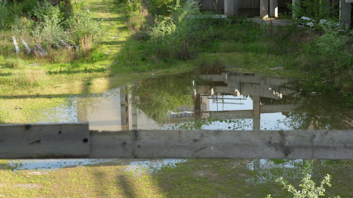 Natura a pus stăpânire pe „Flamaropol” » De 10 ani, patinoarul rămâne o enigmă pentru primarii din București