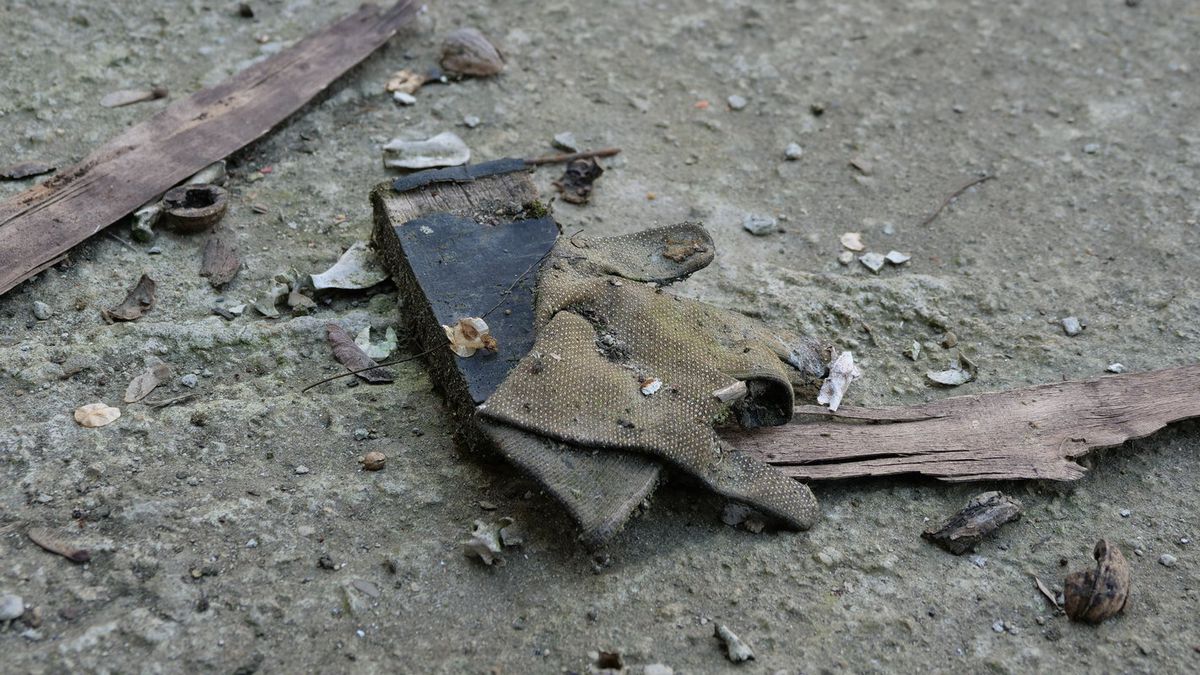 Informații de ultimă oră despre patinoarul „Mihai Flamaropol” » Anunțul făcut de primarul Nicușor Dan