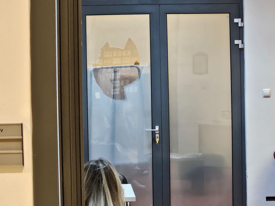 Trei detalii de la victoria CFR-ului cu Lugano: un altfel de Dan Petrescu, cârja aruncată-n iarbă și răzbunarea elvețienilor