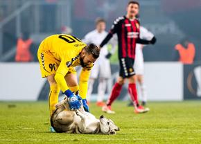 Protocol fără precedent în Liga 1: fotbaliștii, însoțiți de câini înaintea meciurilor