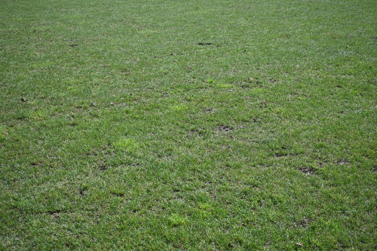Antrenament România Rugby- Arcul de Triumf