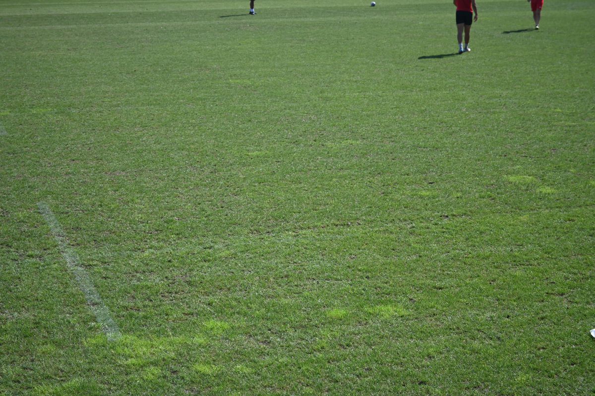 Antrenament România Rugby- Arcul de Triumf