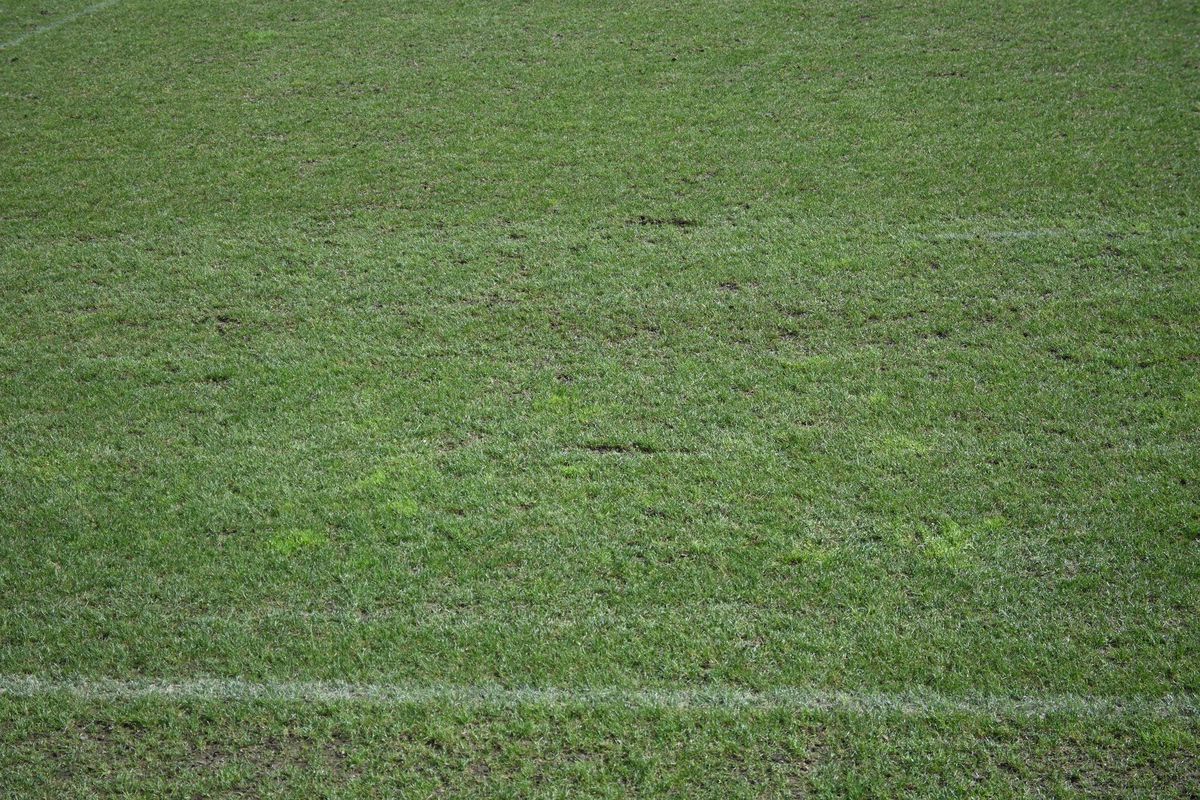 Antrenament România Rugby- Arcul de Triumf