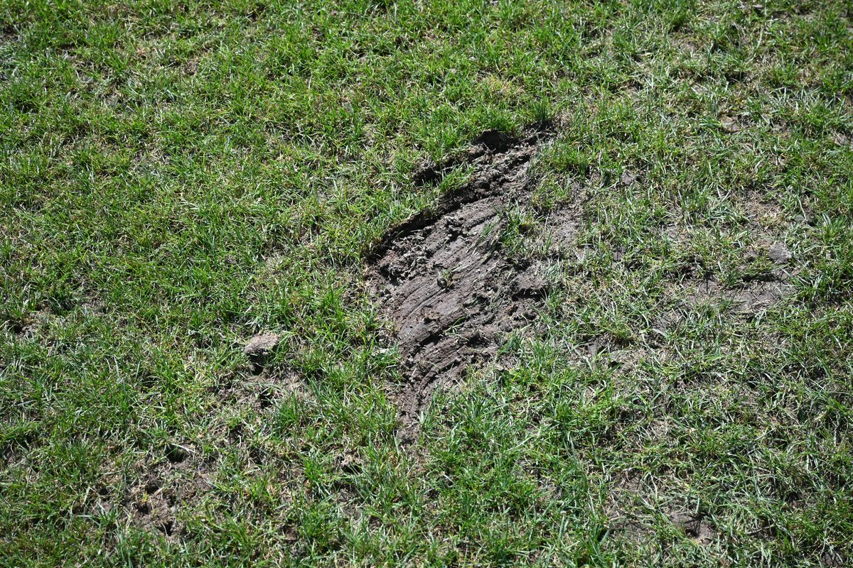 Antrenament România Rugby- Arcul de Triumf