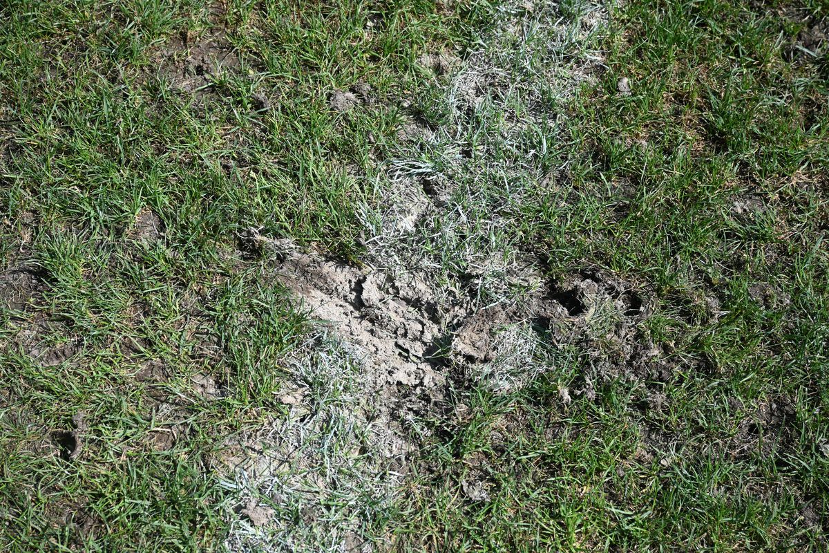 Antrenament România Rugby- Arcul de Triumf